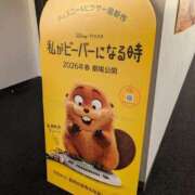 ヒメ日記 2025/11/23 16:10 投稿 りん 栃木小山ちゃんこ