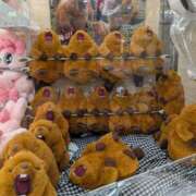 ヒメ日記 2025/12/08 14:10 投稿 りん 栃木小山ちゃんこ