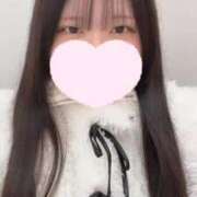 ヒメ日記 2025/12/31 11:20 投稿 みるく バカンス学園　谷九校