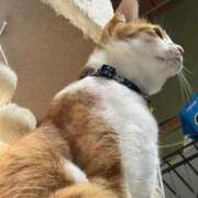 ヒメ日記 2026/03/21 01:49 投稿 みるく バカンス学園　谷九校