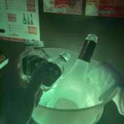 ヒメ日記 2025/05/11 17:33 投稿 もも チョコメロ