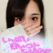 ヒメ日記 2025/04/24 14:18 投稿 ふみか 丸妻 厚木店