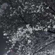 ヒメ日記 2025/04/02 04:11 投稿 ゆうゆ 東京♂風俗の神様 町田・相模原店