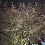 ヒメ日記 2025/04/03 17:21 投稿 ゆうゆ 東京♂風俗の神様 町田・相模原店