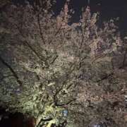 ヒメ日記 2025/04/04 21:11 投稿 ゆうゆ 東京♂風俗の神様 町田・相模原店