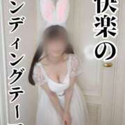 ヒメ日記 2025/11/10 19:13 投稿 洗場 ゆう ニュールビーから電撃 ファーストクラス ルビー