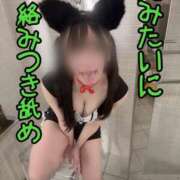 ヒメ日記 2026/07/20 06:03 投稿 洗場 ゆう ニュールビーから電撃 ファーストクラス ルビー