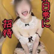 ヒメ日記 2026/07/22 00:13 投稿 洗場 ゆう ニュールビーから電撃 ファーストクラス ルビー
