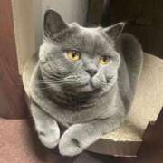 ヒメ日記 2025/08/14 09:11 投稿 あやの・SP やまとなでしこ桜組