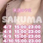 ヒメ日記 2025/04/02 12:07 投稿 佐久間 品川やすらぎ