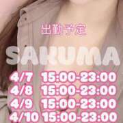 ヒメ日記 2025/04/07 11:32 投稿 佐久間 品川やすらぎ