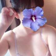 ヒメ日記 2025/06/24 12:30 投稿 れいか DOUBLE（すすきの）