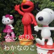 ヒメ日記 2025/10/08 10:18 投稿 わかな 横浜風俗 横浜いきなりビンビン伝説