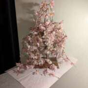 ヒメ日記 2025/05/11 06:49 投稿 まりか 完熟ばなな札幌・すすきの