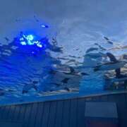 ヒメ日記 2025/06/29 14:34 投稿 紫苑 マニアック専門店逆アナル倶楽部