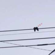 ヒメ日記 2025/12/27 19:26 投稿 しいな ぽちゃカワ女子専門店 千葉松戸店