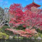 ヒメ日記 2025/04/22 23:22 投稿 さくら モアグループ宇都宮人妻花壇