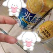 せせり 感謝 ぽちゃカワ女子専門店 千葉松戸店