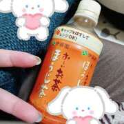 ヒメ日記 2026/03/21 21:36 投稿 せせり ぽちゃカワ女子専門店 千葉松戸店