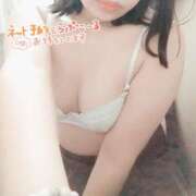 ヒメ日記 2026/06/06 11:15 投稿 せせり ぽちゃカワ女子専門店 千葉松戸店