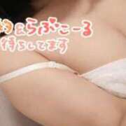ヒメ日記 2026/10/14 16:45 投稿 せせり ぽちゃカワ女子専門店 千葉松戸店