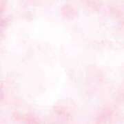 ヒメ日記 2025/04/05 18:59 投稿 あわ MOMO(モモ)