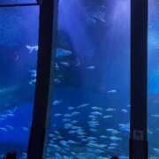 ヒメ日記 2025/10/12 18:30 投稿 むぎ ぽちゃカワ女子専門店 千葉松戸店