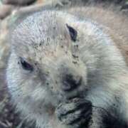 ヒメ日記 2025/04/07 23:58 投稿 めいさ プールサイド