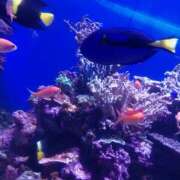 ヒメ日記 2025/06/06 14:14 投稿 めいさ プールサイド