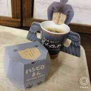 ヒメ日記 2025/06/14 17:29 投稿 めいさ プールサイド