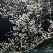 ヒメ日記 2025/04/29 21:05 投稿 かなた 福岡飯塚田川ちゃんこ