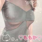 ヒメ日記 2025/06/24 13:42 投稿 ももか【スレンダー巨乳奥様】 One More 奥様 新宿店