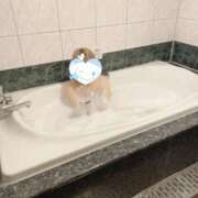 ヒメ日記 2025/08/21 07:32 投稿 みお【ロリカワ神乳H乳若妻】 One More 奥様 新宿店