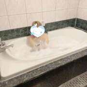 ヒメ日記 2025/09/15 08:02 投稿 みお【ロリカワ神乳H乳若妻】 One More 奥様 新宿店