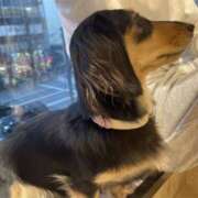 ティファニー 今日28日➡️明日29日 神田ハンドメイド