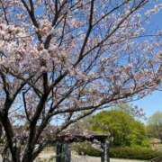 ヒメ日記 2025/04/08 21:27 投稿 平原芽依(ひらはらめい) 九州熟女　熊本店