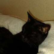 ヒメ日記 2025/04/06 07:53 投稿 まどか 熟女の風俗最終章 新宿店