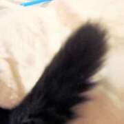 ヒメ日記 2025/04/20 20:48 投稿 まどか 熟女の風俗最終章 池袋店