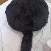 ヒメ日記 2025/06/27 09:42 投稿 まどか 熟女の風俗最終章 池袋店