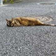 ヒメ日記 2026/08/09 20:28 投稿 まどか 熟女の風俗最終章 池袋店