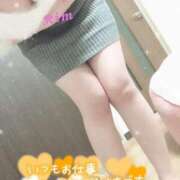 ヒメ日記 2025/04/01 21:07 投稿 りむ サマンサ(和歌山)