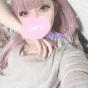 ヒメ日記 2025/04/07 21:23 投稿 りむ サマンサ(和歌山)