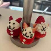 ヒメ日記 2025/05/03 21:39 投稿 ゆのん★衝撃爆乳Hカップ美少女 Chloe錦糸町店 S級素人清楚系デリヘル