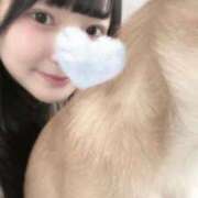 ヒメ日記 2025/04/12 13:44 投稿 あかね CECIL