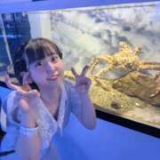 ヒメ日記 2025/06/13 12:09 投稿 まな【特進クラス】 舐めたくてグループ〜ペロンチョ学園〜八王子校