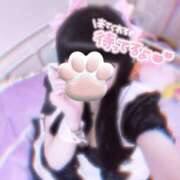 ヒメ日記 2025/06/24 15:02 投稿 めあり【性欲おばけ少女】 どMばすたーず 群馬 高崎店