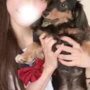 ヒメ日記 2026/05/11 00:27 投稿 TOUKA GRAND STAGE