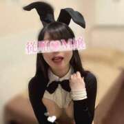 ヒメ日記 2025/04/14 12:09 投稿 ななこ アリスカフェ