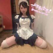 ヒメ日記 2025/05/03 13:26 投稿 ななこ アリスカフェ