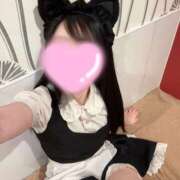 ヒメ日記 2025/05/13 07:00 投稿 ななこ アリスカフェ